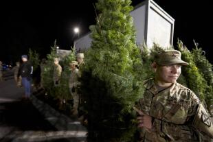 trees-for-troops.jpg