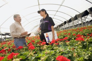 fedex-flowers.jpg