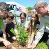 treeplanting.jpg